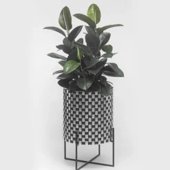 Nexum Optical 30 Nero Cachepot