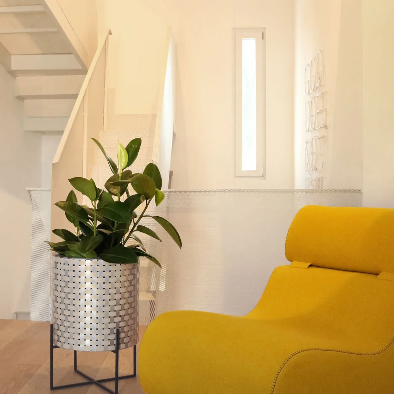 Nexum Optical 30 Oro Cachepot