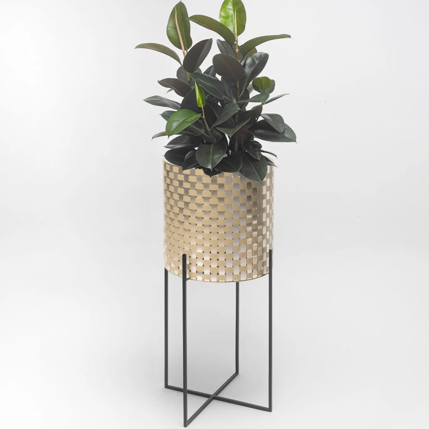 Nexum Ottico 60 Oro Chachepot