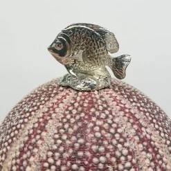 Pesce lampada Rich-O