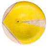 Piastra a muro gialla