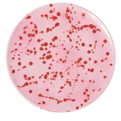 Piatto decorativo in ceramica fucsia e rossa