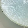 Placca a parete concava bianco perla