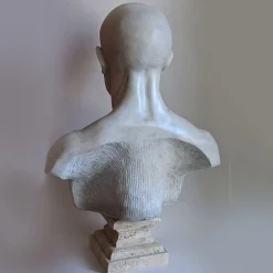 Scorticato Busto anatomico in marmo Scultura