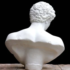 Scultura Antinoo in Gesso Bianco