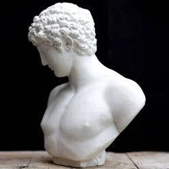 Scultura Antinoo in Gesso Bianco