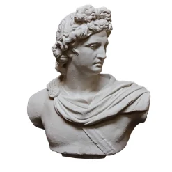 Scultura Apollo del Belvedere in Gesso Bianco