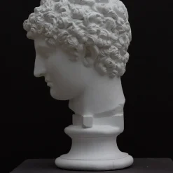 Scultura Busto di Antinoo in Gesso Bianco