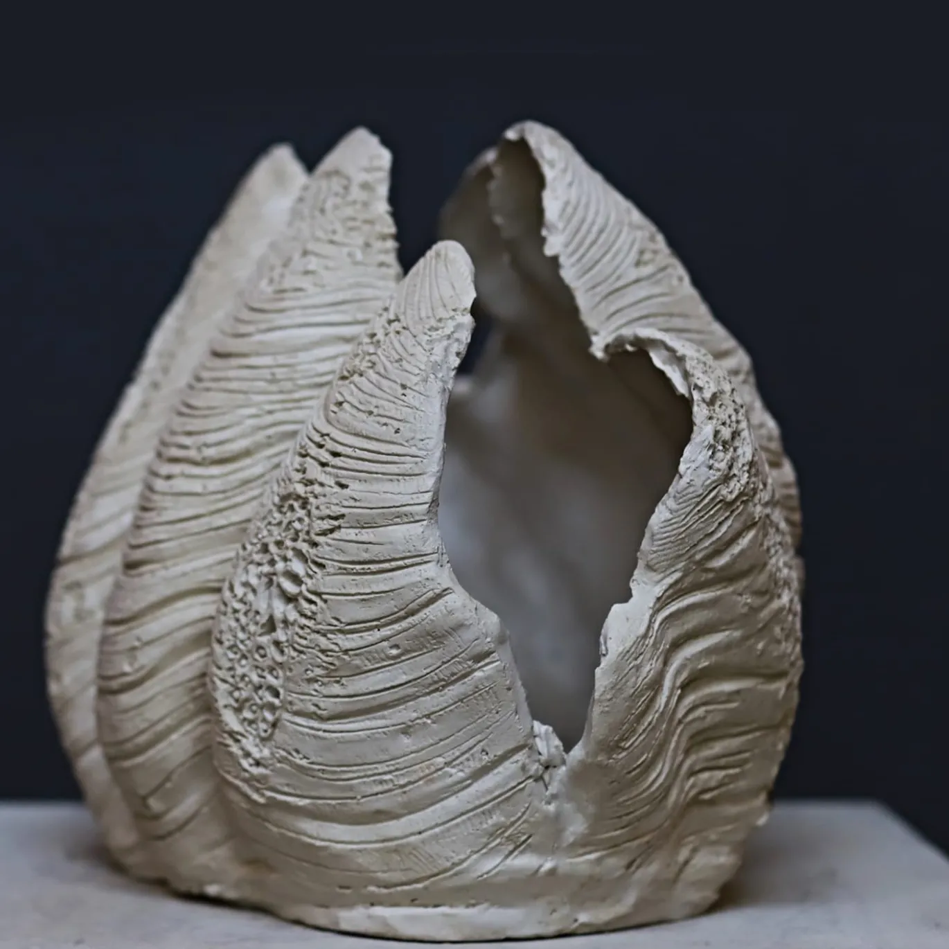 Scultura Conchiglia