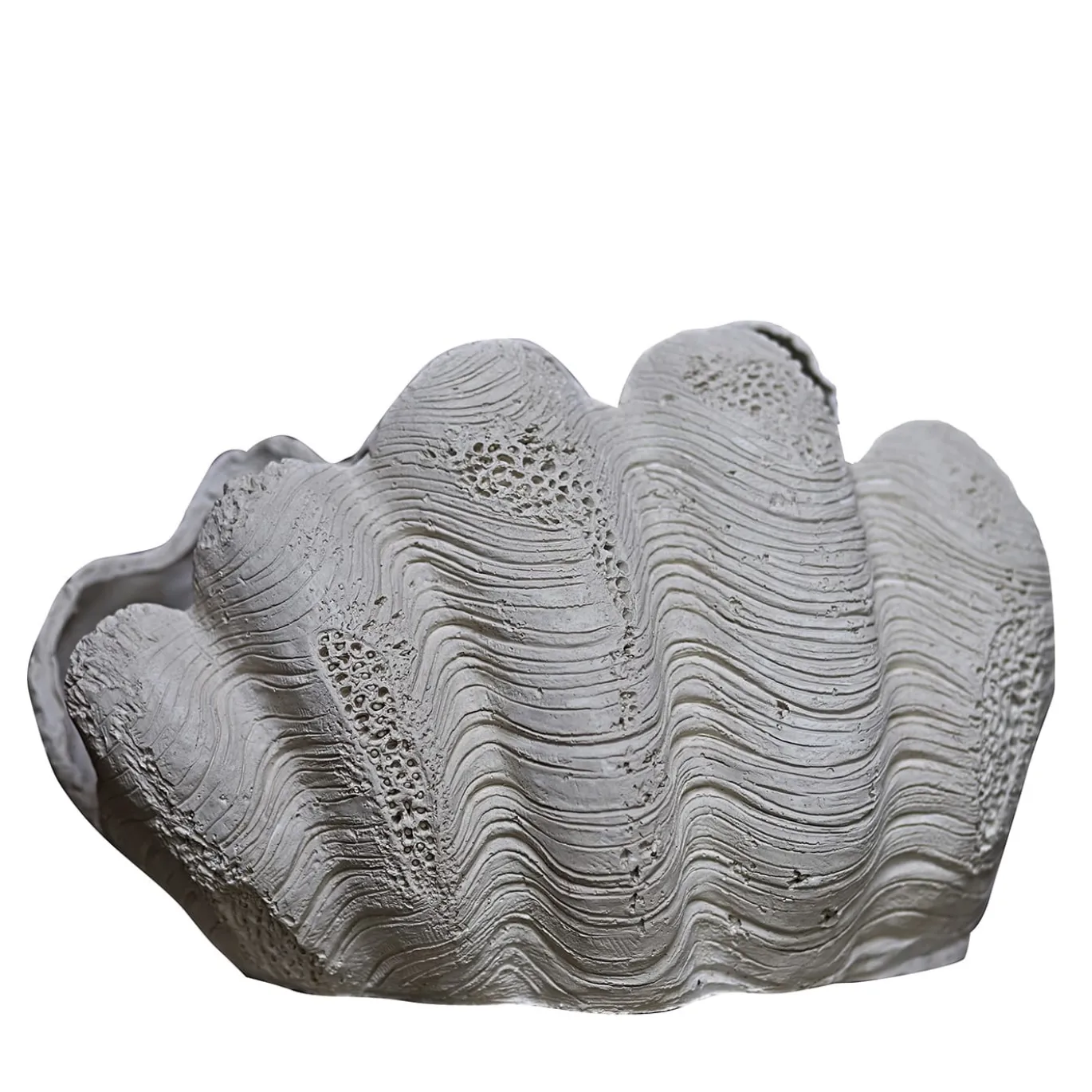 Scultura Conchiglia