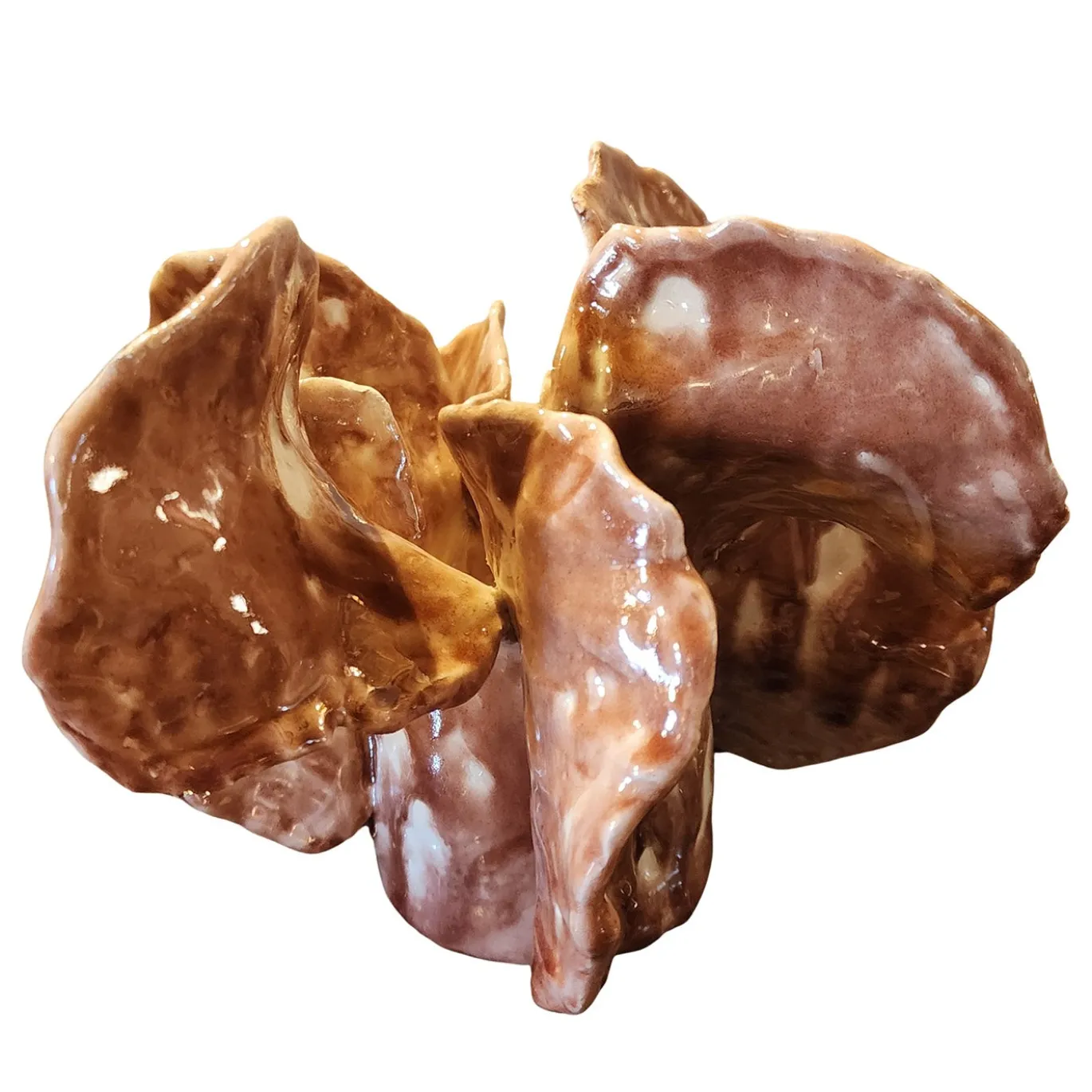 Scultura decorativa Desert Bloom in ceramica smaltata
