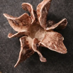 Scultura decorativa Desert Bloom in ceramica smaltata