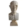 Scultura di busto anatomico in marmo di Carrara