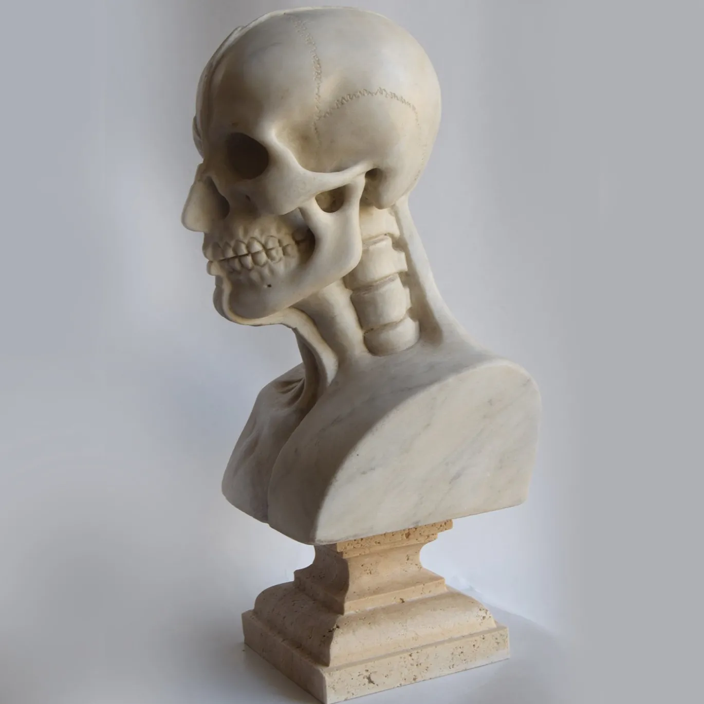 Scultura di busto anatomico in marmo di Carrara