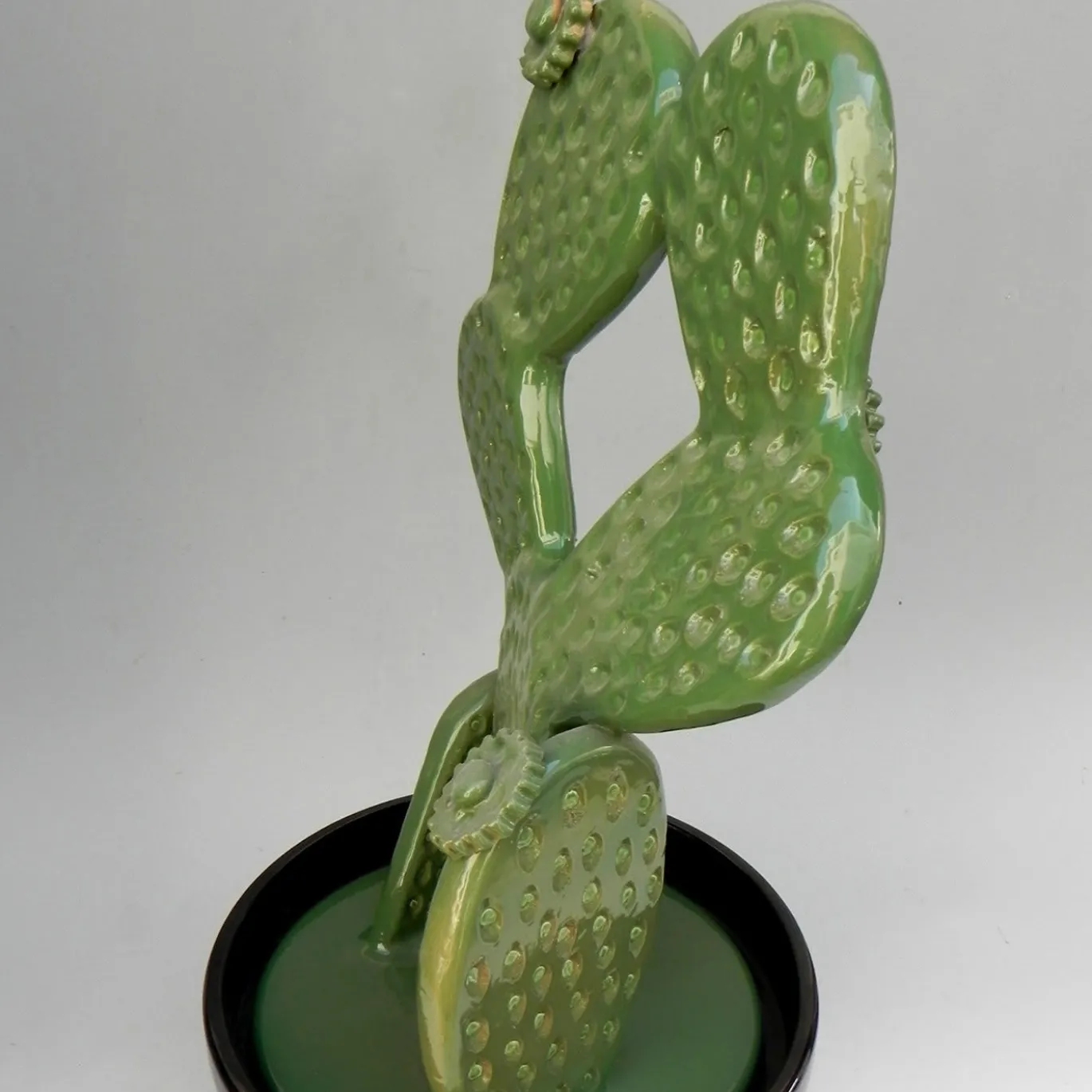 Scultura di cactus in ceramica di Tullio Mazzotti in via Gutierrez