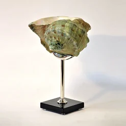 Scultura di conchiglia turbo verde