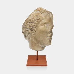 Scultura in gesso con base in pelle Venere di Arles