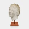 Scultura in gesso con base in pelle di Afrodite