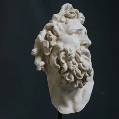 Scultura in gesso con testa di Laocoonte