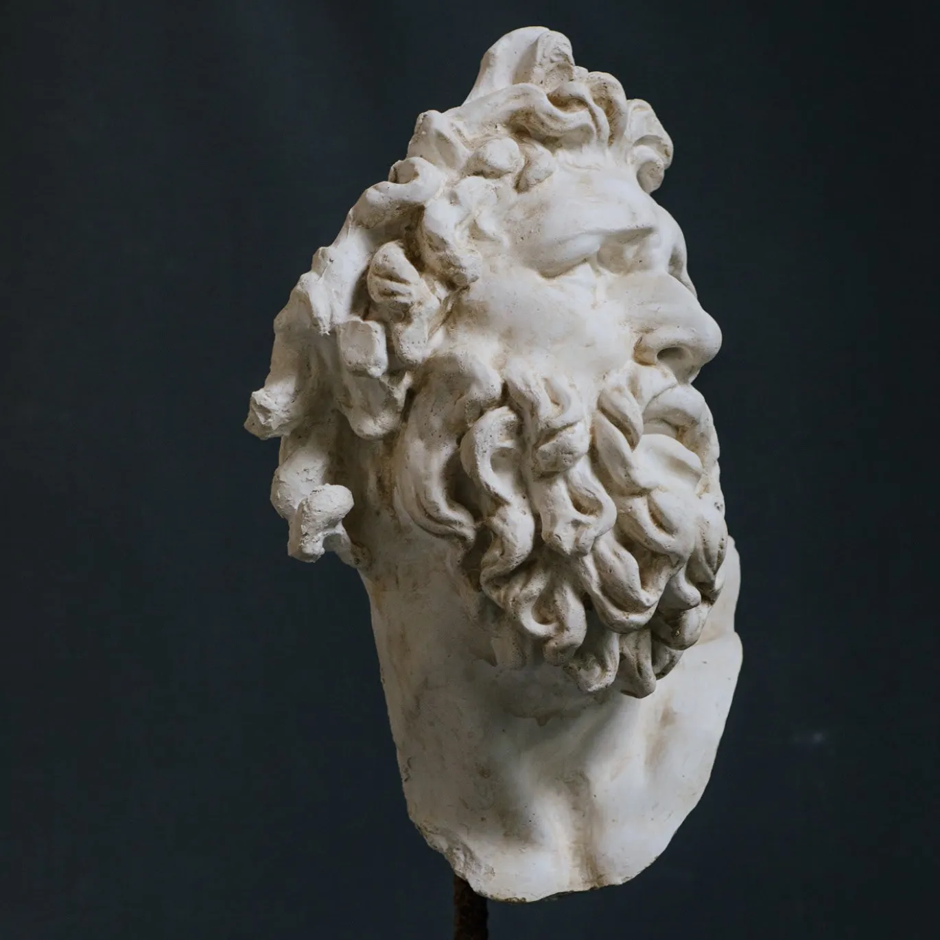 Scultura in gesso con testa di Laocoonte