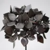Scultura Ortensia