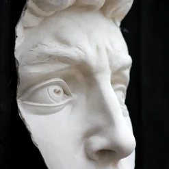 Scultura Profilo di David in Gesso Bianco