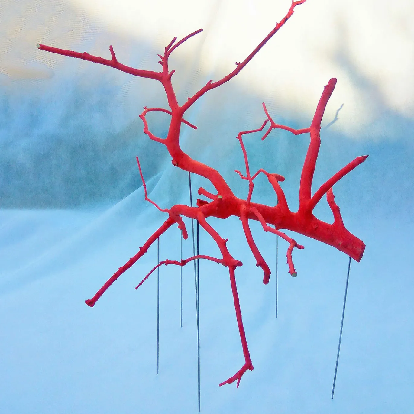 Scultura rossa di Rami Sospesi