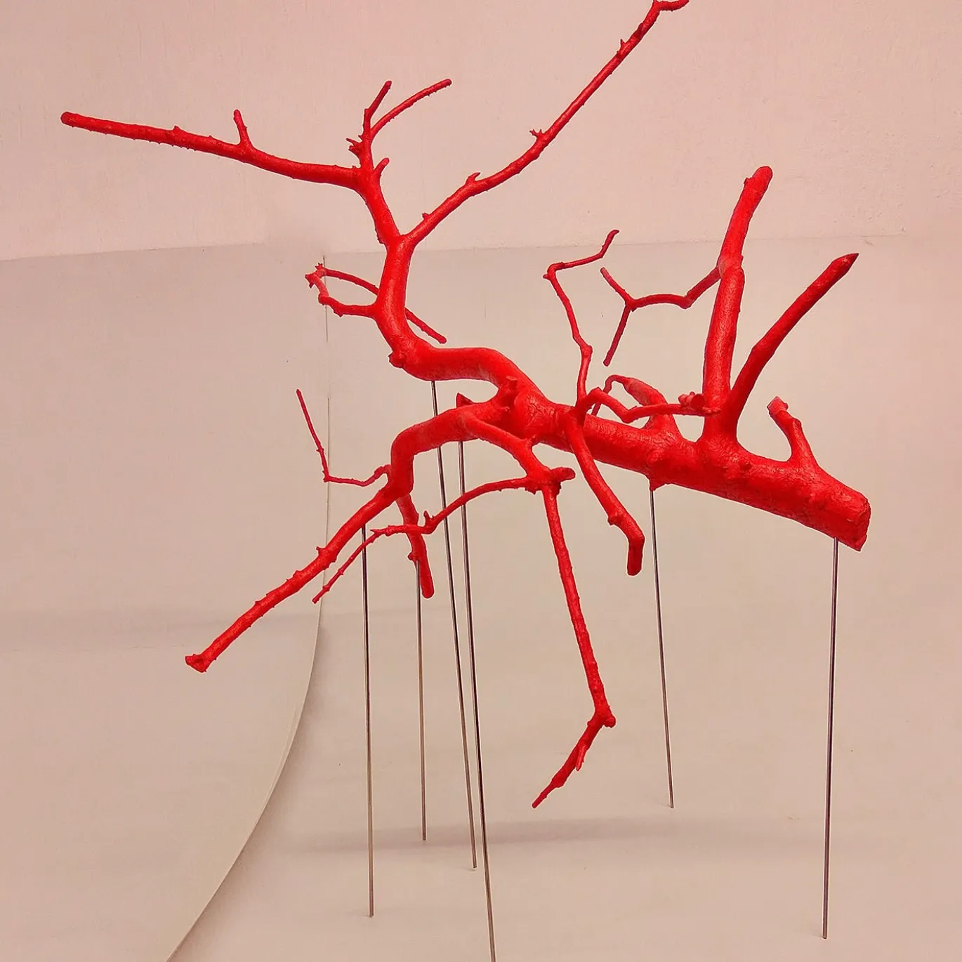Scultura rossa di Rami Sospesi
