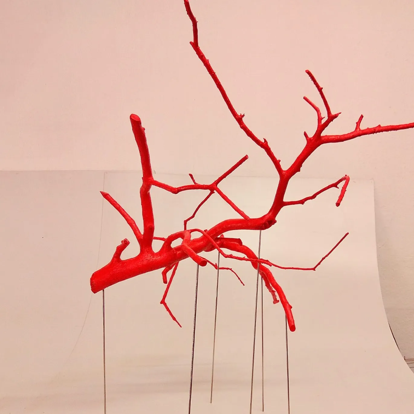 Scultura rossa di Rami Sospesi