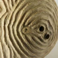 Scultura sferica di locuste nere di forma cava Impossiballs