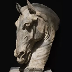 Scultura Testa di Cavallo in Gesso Bianco