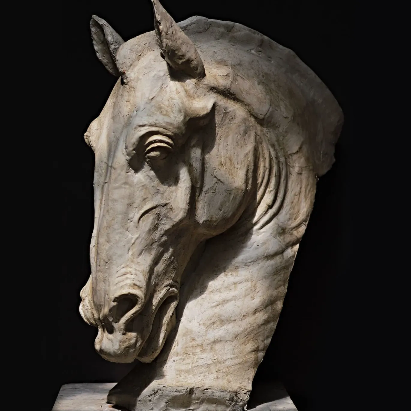 Scultura Testa di Cavallo in Gesso Bianco