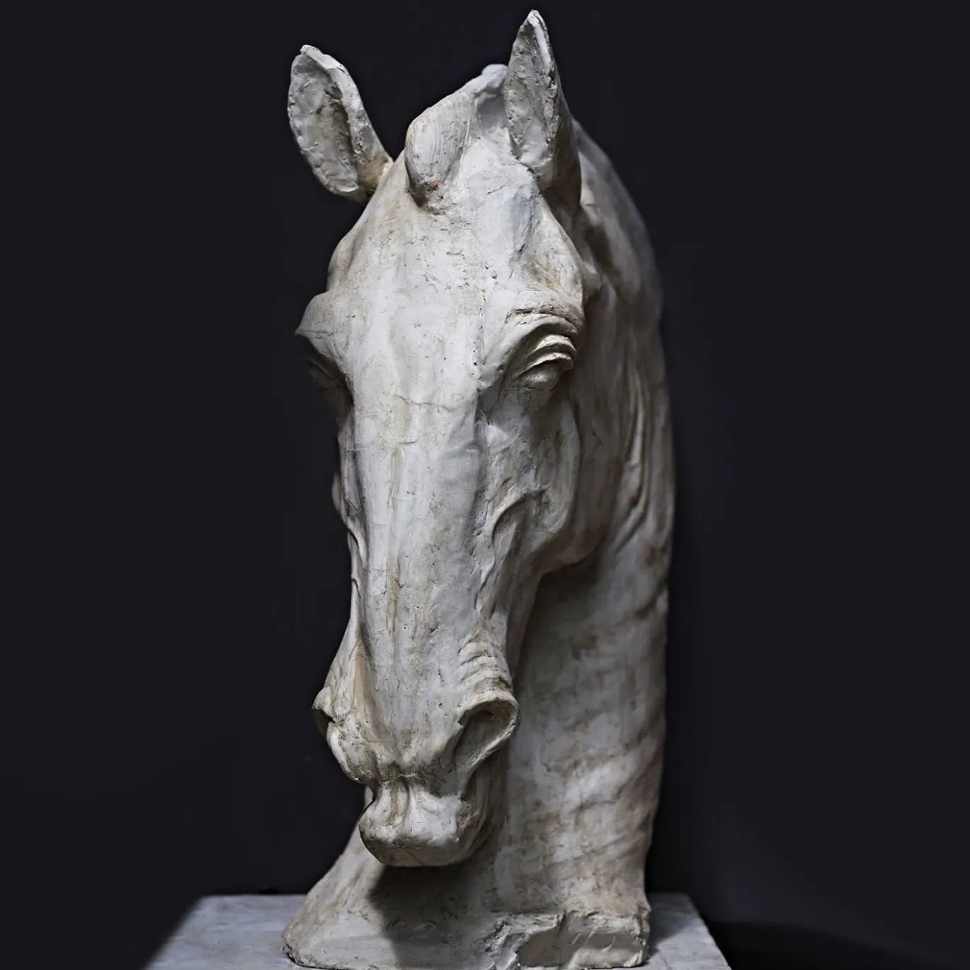 Scultura Testa di Cavallo in Gesso Bianco