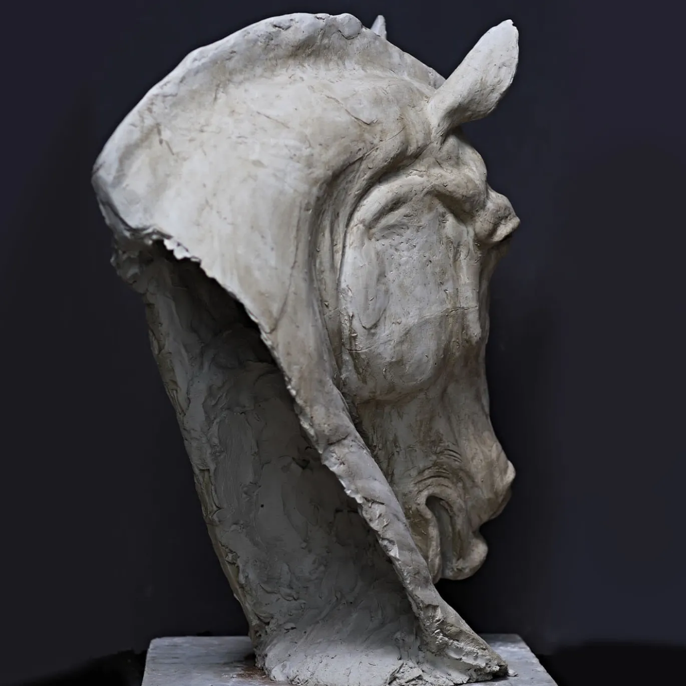 Scultura Testa di Cavallo in Gesso Bianco