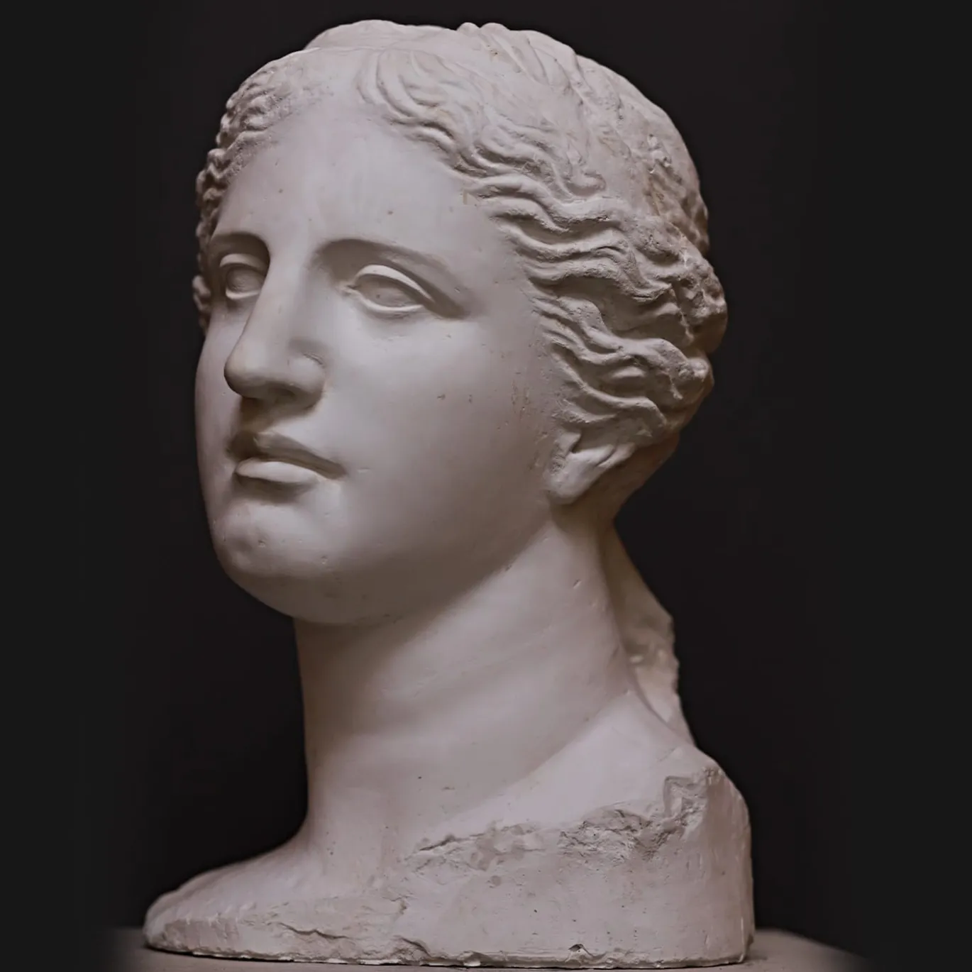 Scultura Testa Venere di Milo in Gesso Bianco