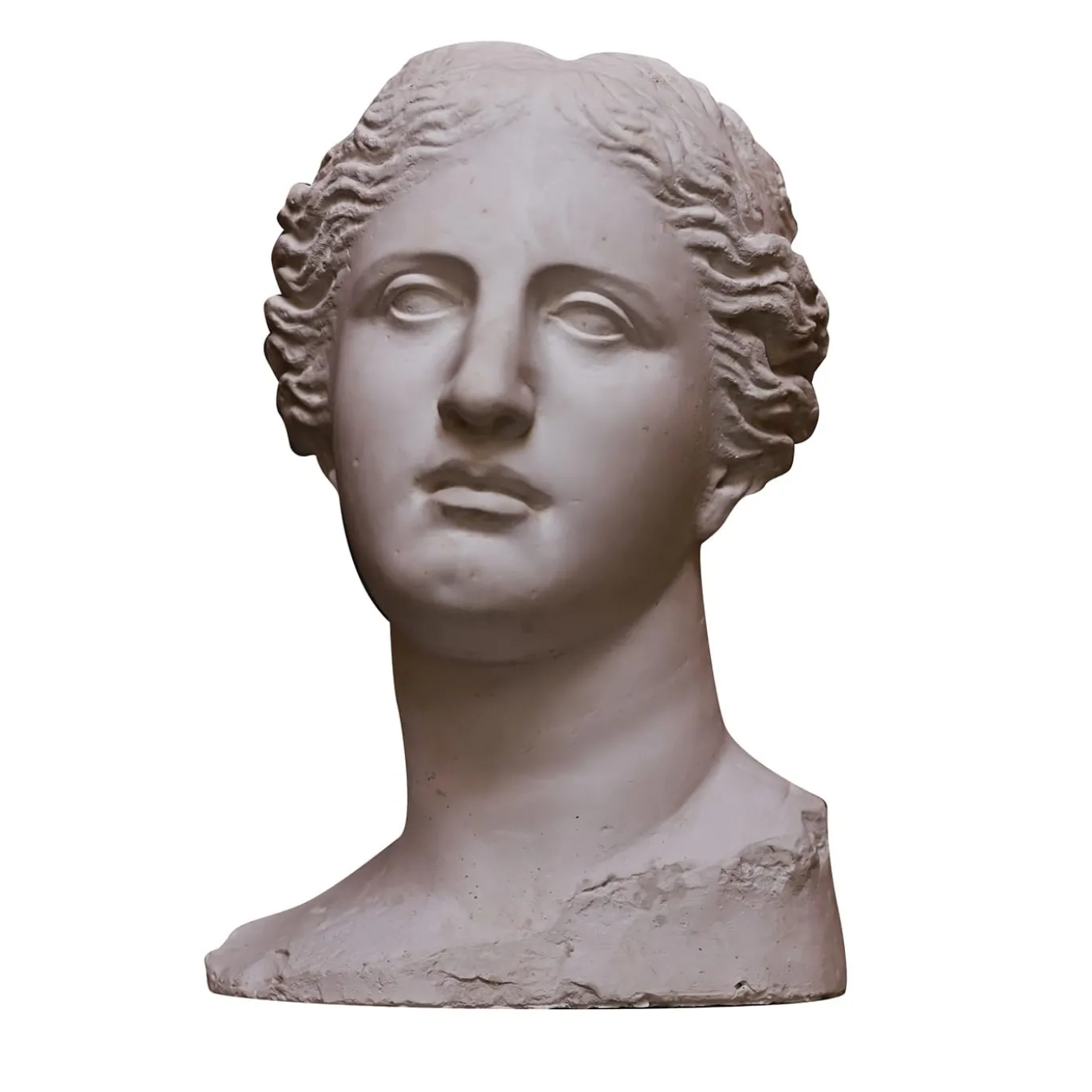 Scultura Testa Venere di Milo in Gesso Bianco