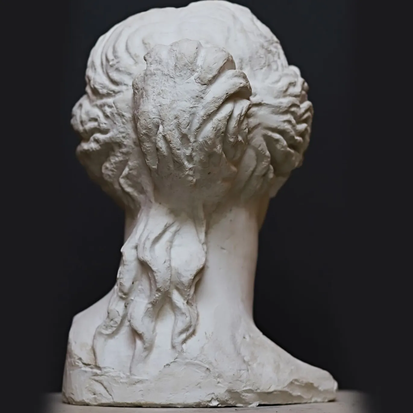 Scultura Testa Venere di Milo in Gesso Bianco