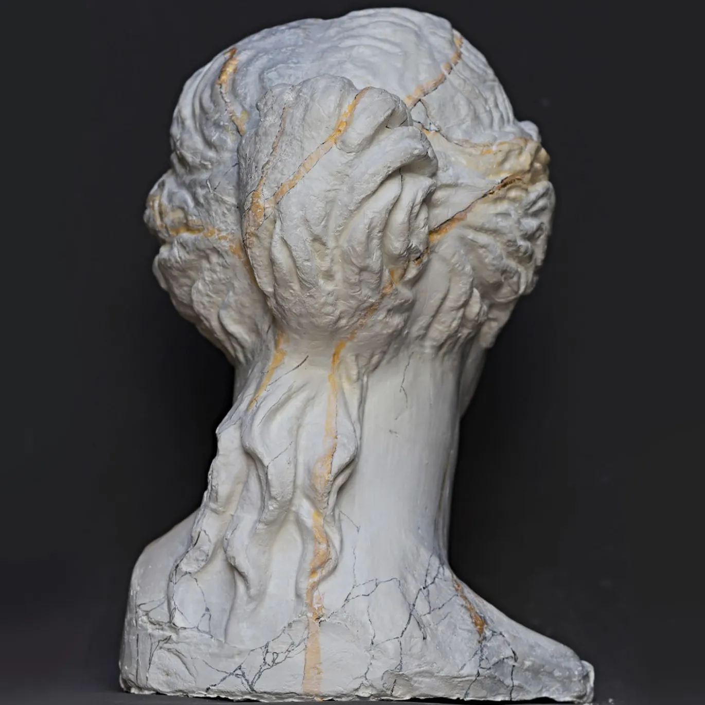 Scultura Testa Venere di Milo in Gesso Marmorizzato