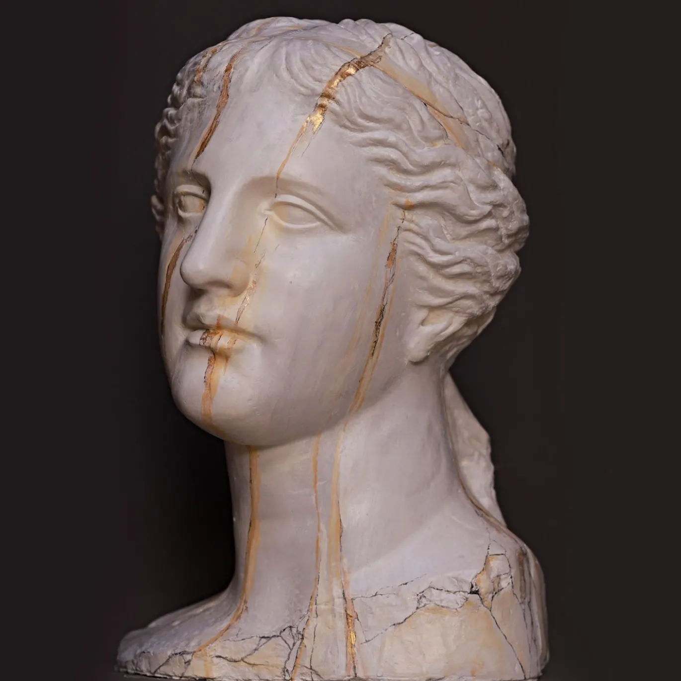Scultura Testa Venere di Milo in Gesso Marmorizzato
