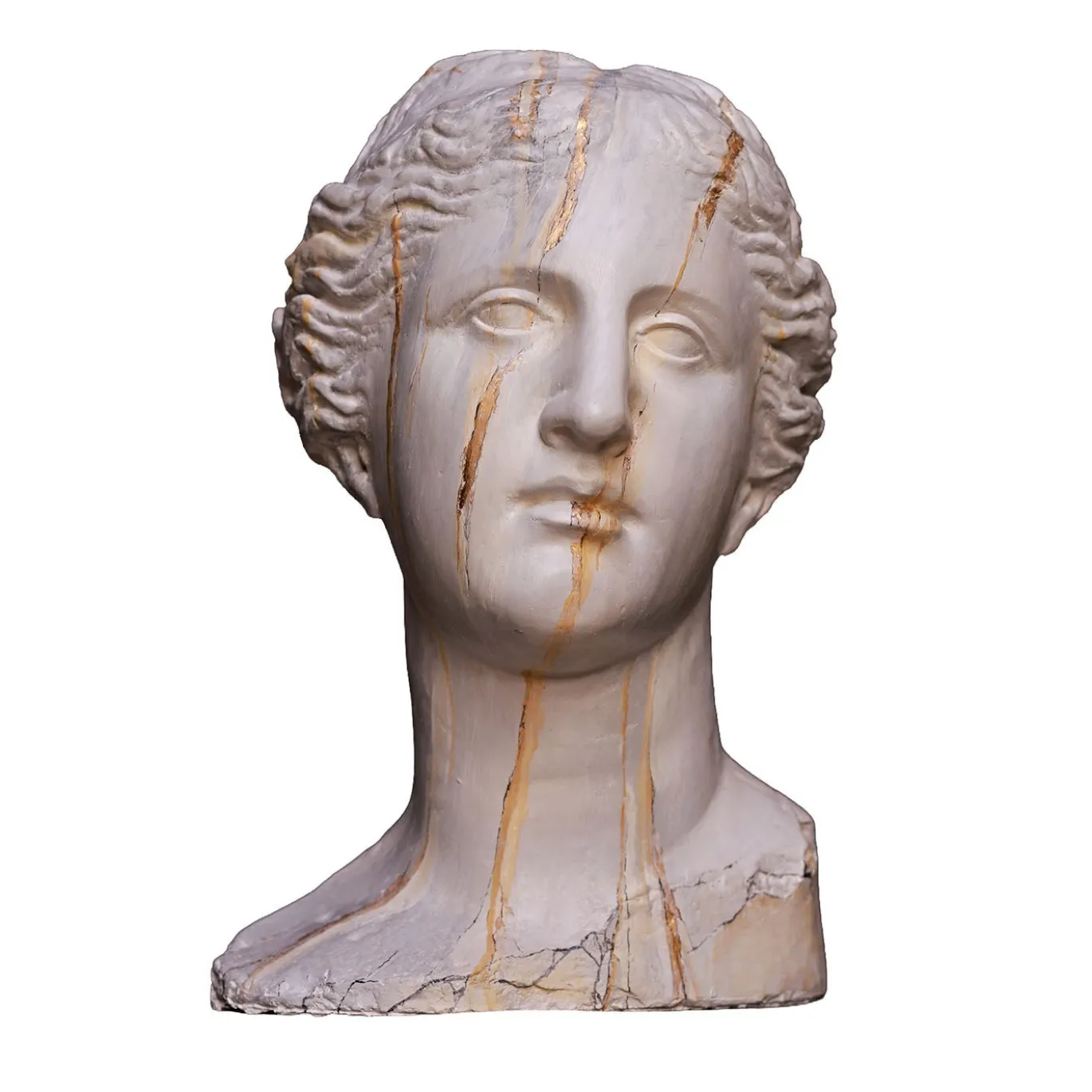 Scultura Testa Venere di Milo in Gesso Marmorizzato