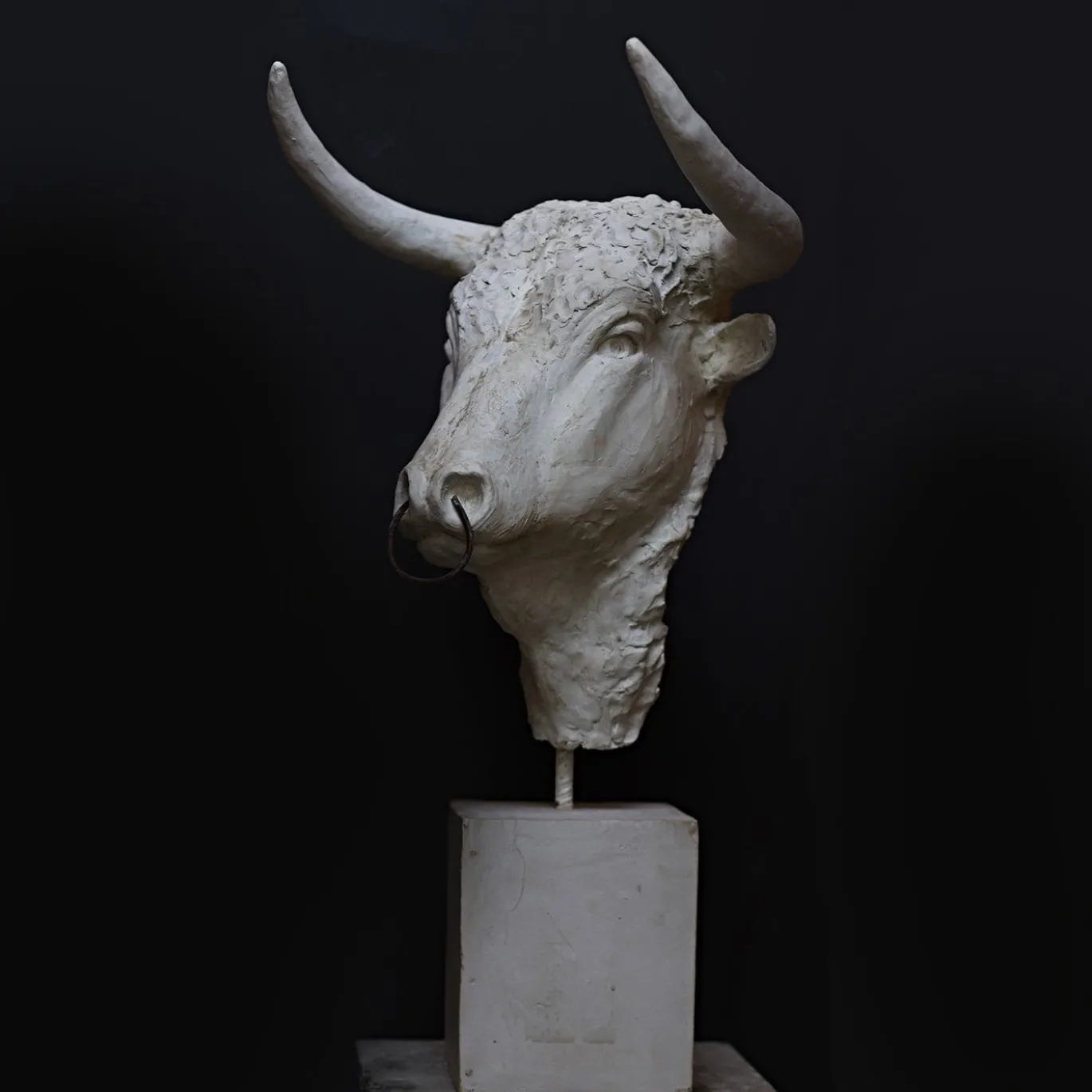 Scultura Toro