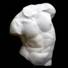 Scultura Torso Gaddi Piccolo in Gesso Bianco