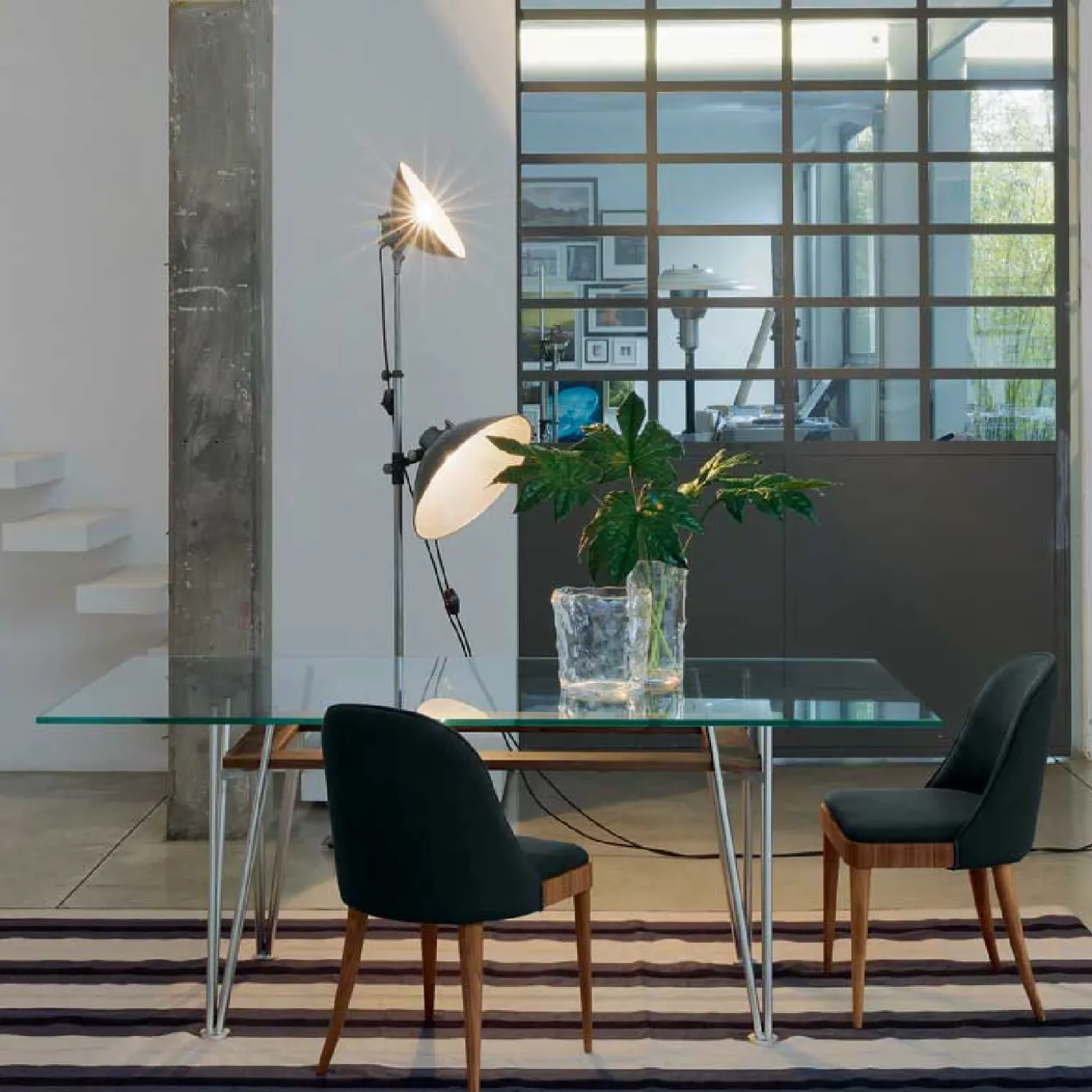 Sedia Cordiale in Noce Canaletto Grigio