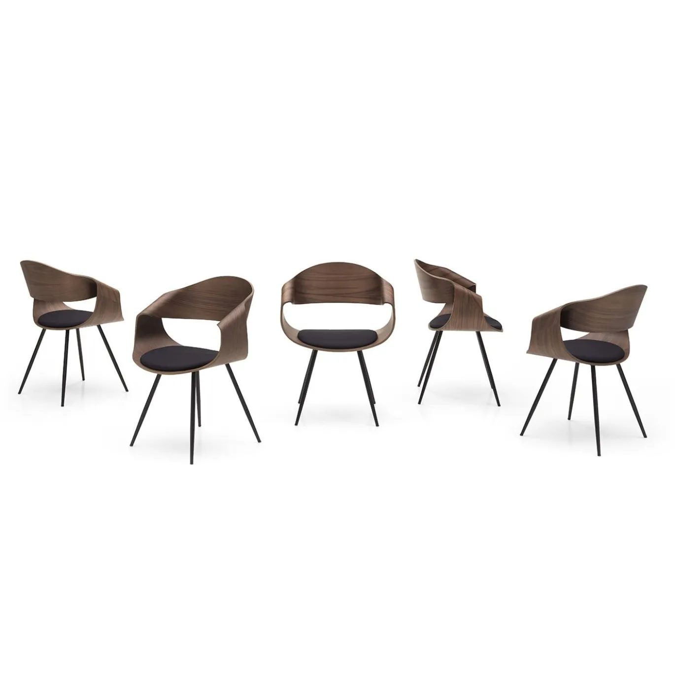 Sedia in noce marrone Canaletto Chantal con cuscino