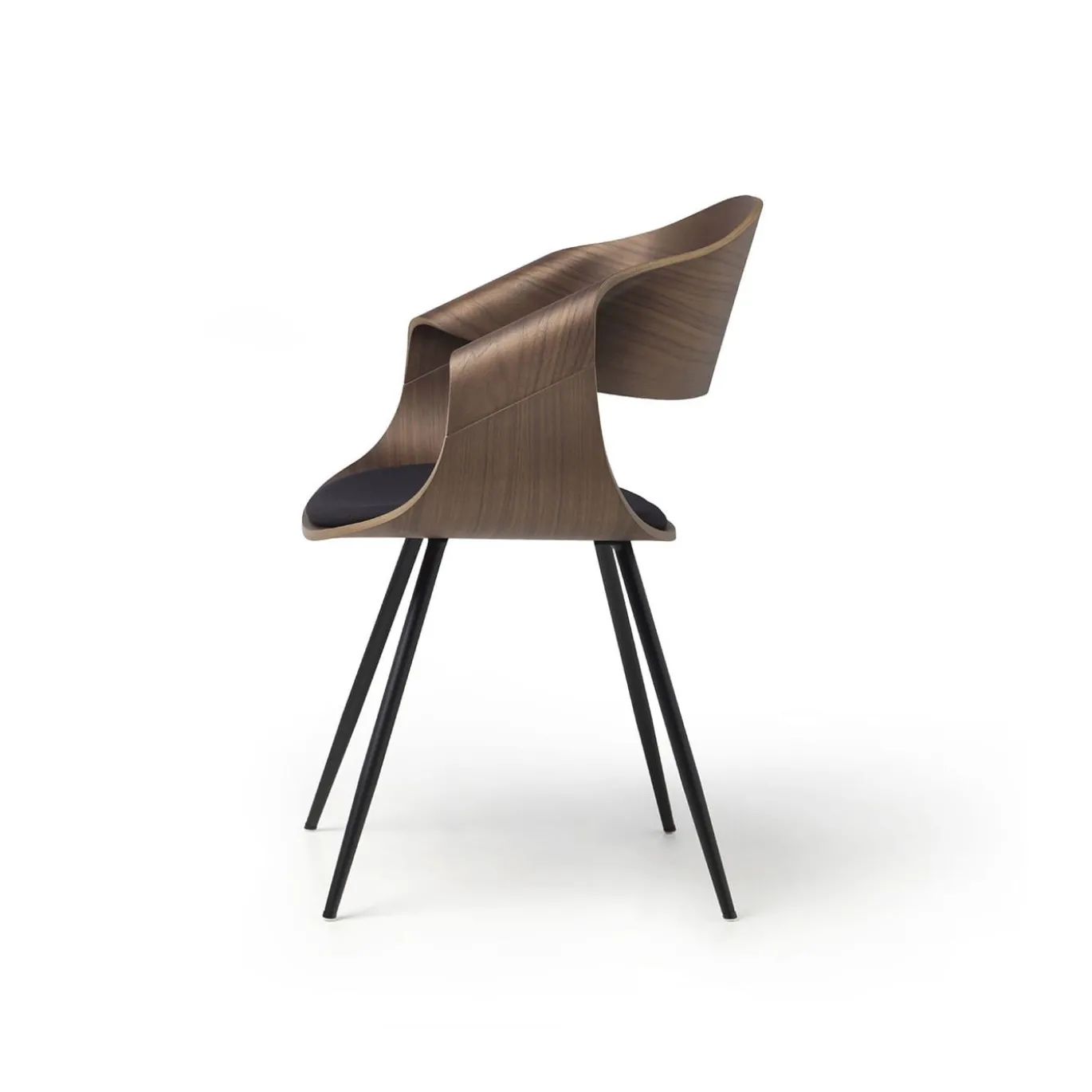 Sedia in noce marrone Canaletto Chantal con cuscino