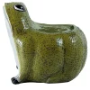 Sedia Rana a Sedile in Ceramica Verde