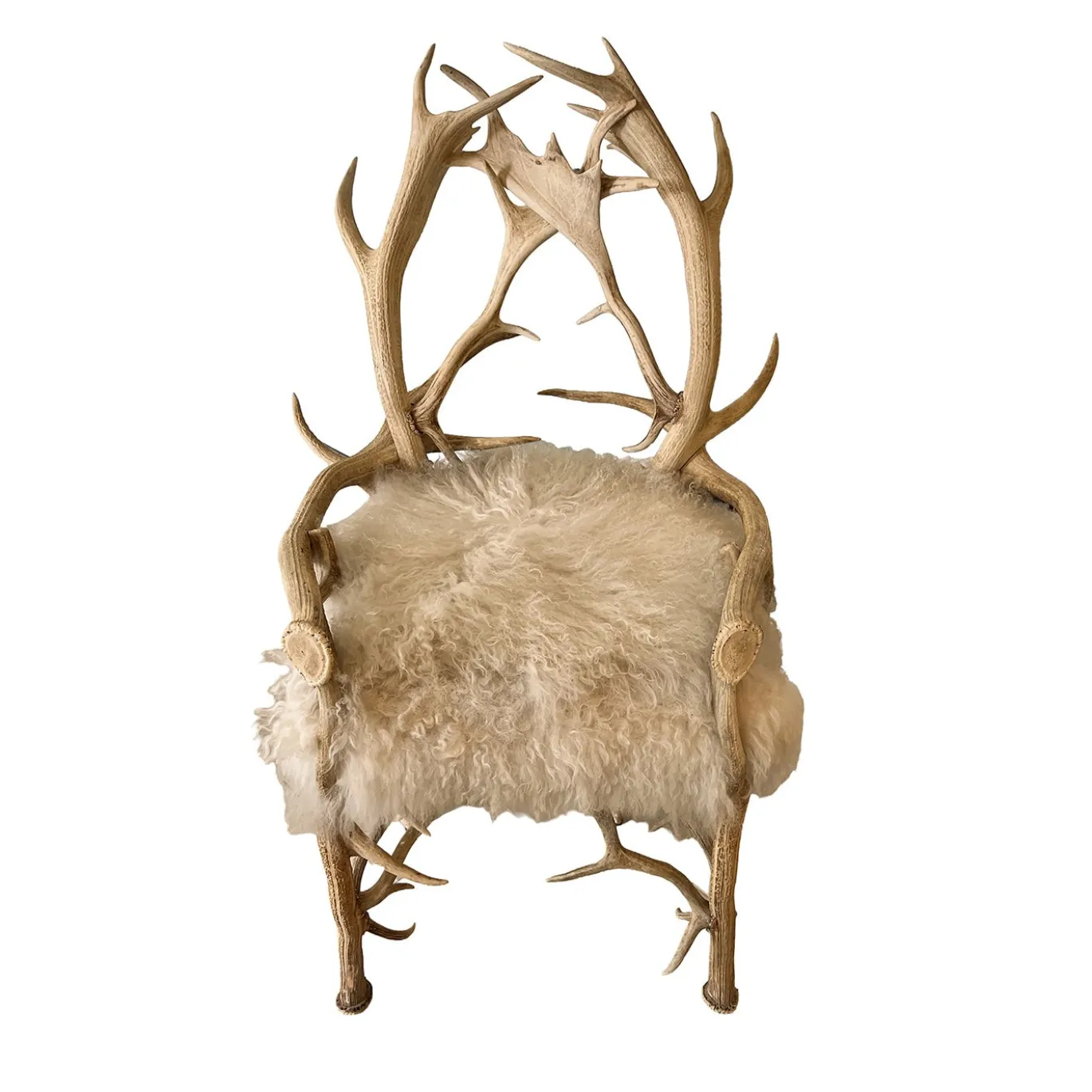 Sedia scultorea Cervo Bianco con struttura in legno di faggio