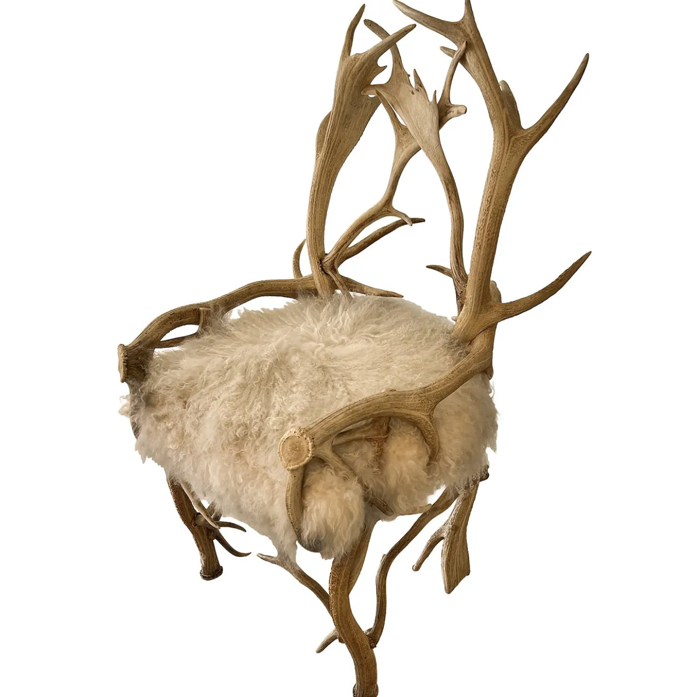 Sedia scultorea Cervo Bianco con struttura in legno di faggio