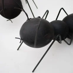 Set di 2 sculture Formiche