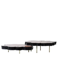 Set di 2 tavolini Locum II